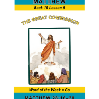 Matthew – Book 10 Lesson 5 (PDF)