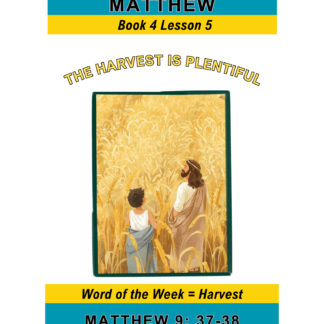 Matthew – Book 4 Lesson 5 (PDF)