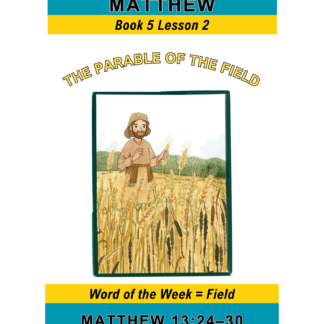 Matthew – Book 5 Lesson 2 (PDF)