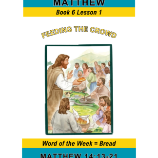 Matthew – Book 6 Lesson 1 (PDF)