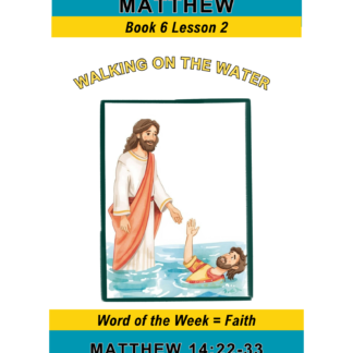 Matthew – Book 6 Lesson 2 (PDF)