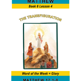 Matthew – Book 6 Lesson 4 (PDF)