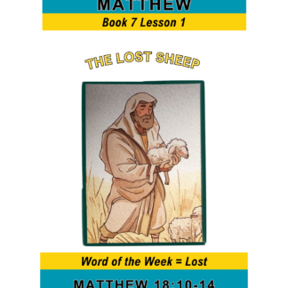 Matthew – Book 7 Lesson 1 (PDF)
