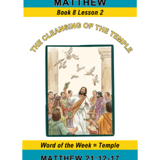 Matthew – Book 8 Lesson 2 (PDF)