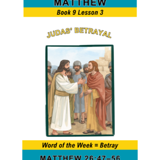 Matthew – Book 9 Lesson 3 (PDF)